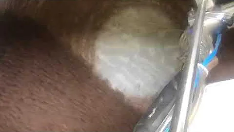 تشغيل رشاش الشوكولاتة الأوتوماتيكي